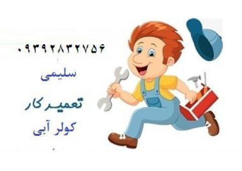 خدمات نصب و سرویس کولر آبی