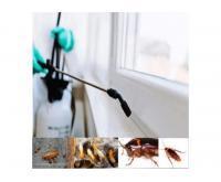 آگهی رایگان