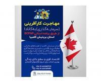 آگهی رایگان