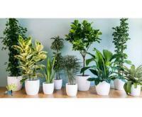 آگهی رایگان