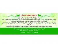 آگهی رایگان