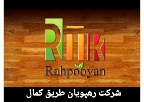 جذب ویزیتور در شرکت رهپویان (مازندران)