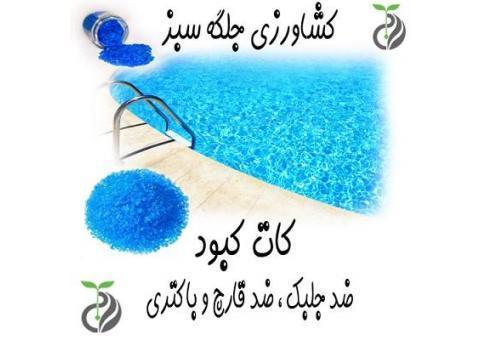 فروش کات کبود