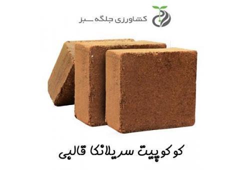 فروش عمده و فوق العاده کوکوپیت سریلانکا