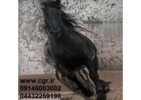 استخدام و آموزش طراحی گرافیک