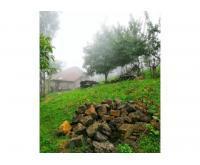 آگهی رایگان