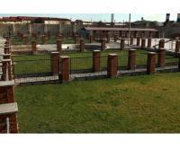 آگهی رایگان