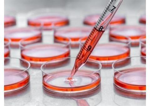 توزیع کننده محیط کشت از کمپانی های معتبر