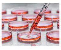 آگهی رایگان