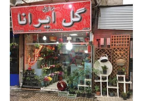 گل فروشی مشهد ( گل ایرانا )