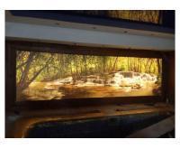 آگهی رایگان