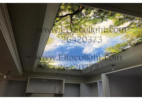 سقف های کشسان