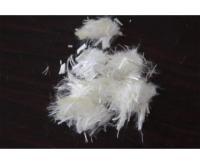 آگهی رایگان