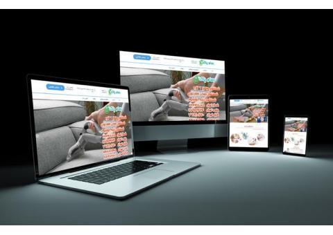 دیجیتال مارکتینگ و طراحی سایت