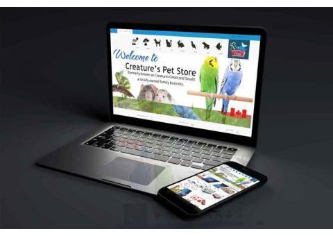 دیجیتال مارکتینگ و طراحی سایت