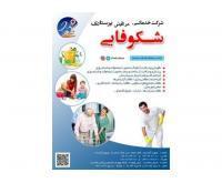 آگهی رایگان