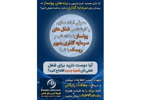 خدمات سرمايه‌گذاري و برند