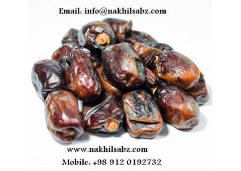 فروش خرمای کلوته