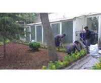 آگهی رایگان