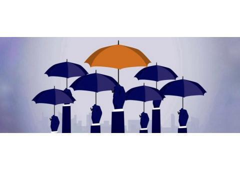 استخدام درحرفه ای ترین تیم بیمه ای