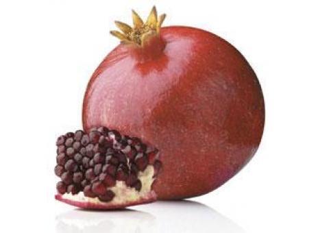 انار،فروش کنسانتره انار