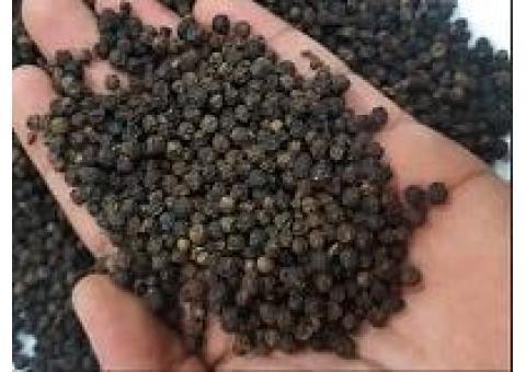 فلفل سیاه و سایر محصولات گیاهی و عطاری