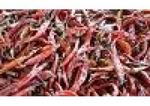 فلفل قرمز و سایر محصولات گیاهی و عطاری