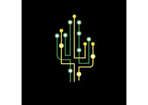 کاکتوس | ارائه دهنده خدمات دیجیتال مارکتینگ