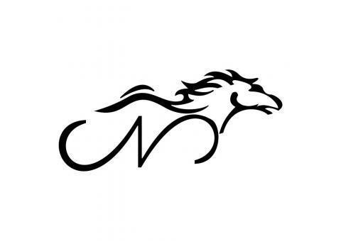 فروشگاه دوچرخه اینترنتی نیکان بایک