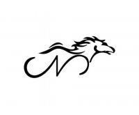 آگهی رایگان