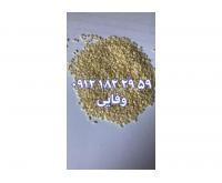 آگهی رایگان