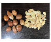 آگهی رایگان