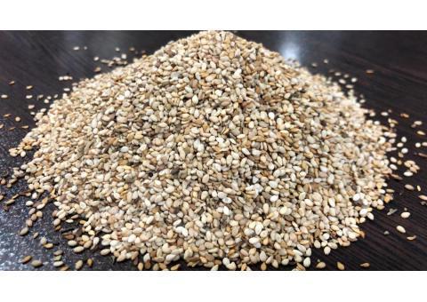 فروش دانه های روغنی و روغن های گیاهی و طبیعی