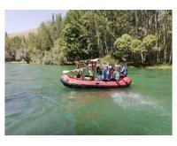 آگهی رایگان