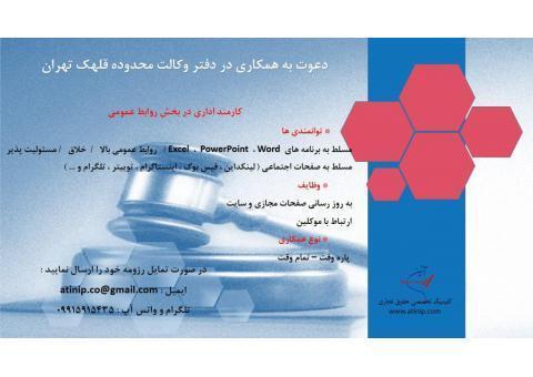 کارمند اداری در دفتر وکالت