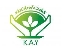 آگهی رایگان