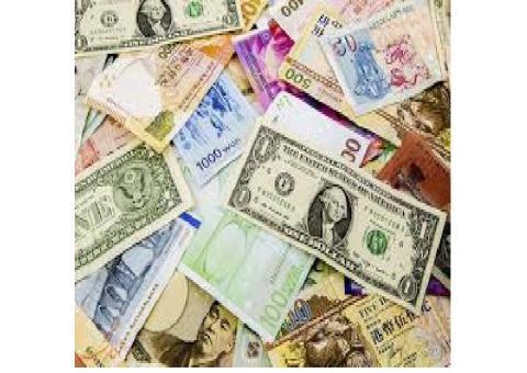 سرمایه گذاری می کنم