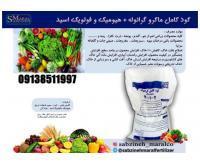 آگهی رایگان