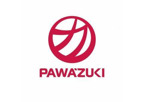 نمایندگی رسمی شرکت توتاچی ژاپن و پاوازوکی ژاپن در ایران