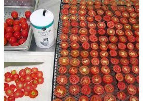 خشک کن میو ه و سبزی صنعتی 09198201278