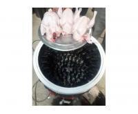 آگهی رایگان