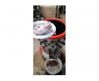 آگهی رایگان