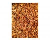 آگهی رایگان