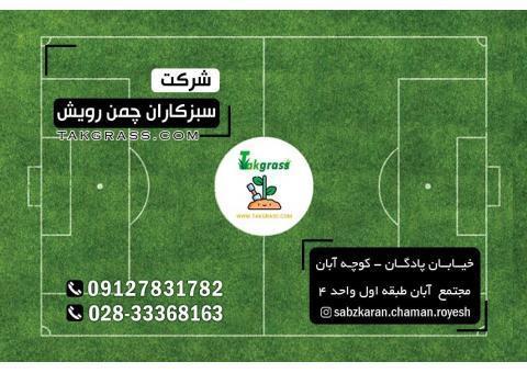چمن مصنوعی