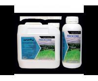 آگهی رایگان