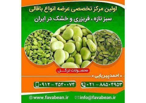 باقالی سبز خشک ، باقالی سبز تازه ، باقالی سبز منجمد