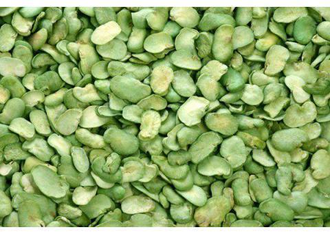 باقالی سبز خشک ، باقالی سبز تازه ، باقالی سبز منجمد