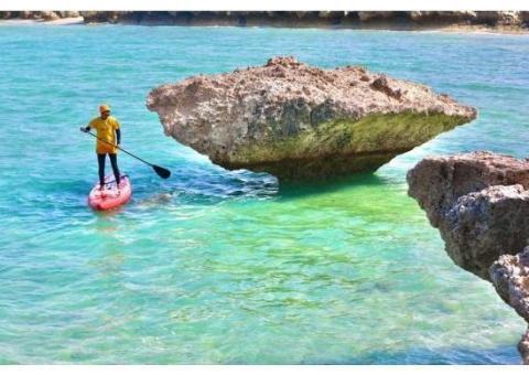 پدل بورد بادی