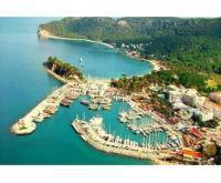 آگهی رایگان