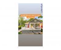 آگهی رایگان